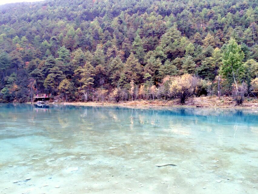 钃濇湀璋?.jpg