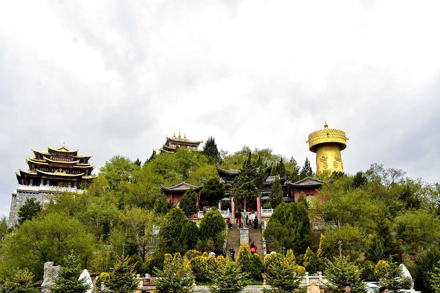 棣欐牸閲屾媺-杞�缁忕�.jpg