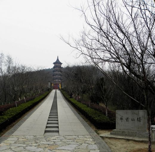 鍗椾含鐗涢�栧�.jpg