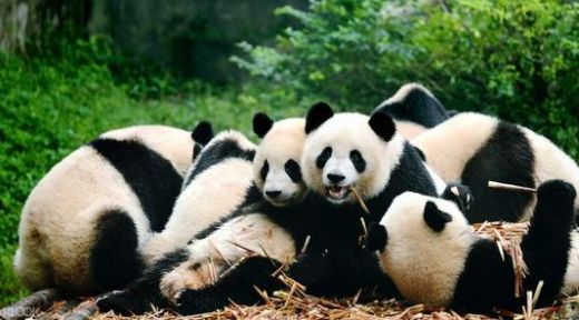 微信图片_20210428114128.jpg